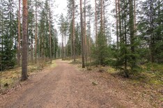 Kirkkotie 71, Hyvinkää (Mustamännisto), Kuva 25, esikatselu
