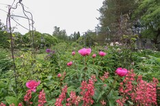 Tupasvillantie 3, Hyvinkää (Monni, Hausjärvi), Kuva 29, esikatselu