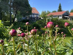 Tupasvillantie 3, Hyvinkää (Monni, Hausjärvi), Kuva 36, esikatselu