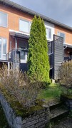 Hannuksentie 10, Espoo (Hannus), Kuva 25, esikatselu