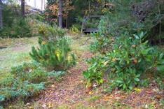 Laudetie 12 A , Espoo (Kaupunginkallio), Kuva 28, esikatselu
