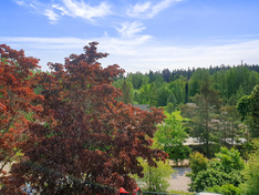 Törmäniityntie 15, Espoo (Viherlaakso), Kuva 7, esikatselu