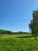 Ahonlaita 25, Janakkala (Tervakoski), Kuva 23, esikatselu