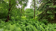 Uurtamonpolku 4a, Hämeenlinna (Ahvenisto), Kuva 10, esikatselu