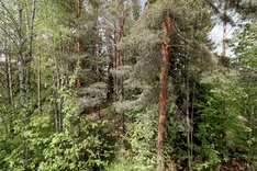 Mätästie 5, Helsinki (Suurmetsä), Kuva 13, esikatselu