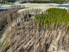 Alajärventie 41, Kuopio (Riistavesi), Kuva 6, esikatselu