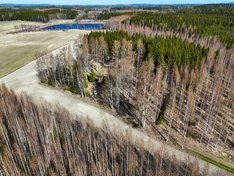 Alajärventie 41, Kuopio (Riistavesi), Kuva 8, esikatselu