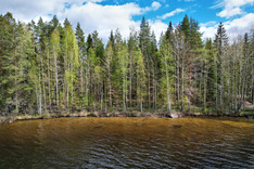 Peurakalliontie , Tuusniemi (Juojärvi), Kuva 1, esikatselu