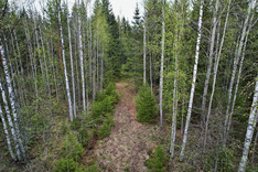 Peurakalliontie , Tuusniemi (Juojärvi), Kuva 9, esikatselu