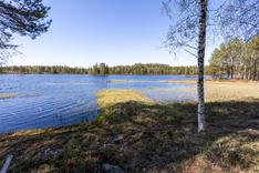 Kopsantie 369, Kaavi (Kortteinen), Kuva 2, esikatselu