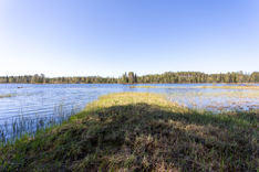 Kopsantie 369, Kaavi (Kortteinen), Kuva 3, esikatselu