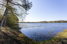Kopsantie 369, Kaavi (Kortteinen), Kuva 11, esikatselu