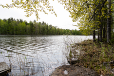 Sammakkoniementie 134, Kuopio (Litmaniemi), Kuva 8, esikatselu