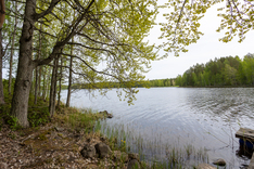 Sammakkoniementie 134, Kuopio (Litmaniemi), Kuva 9, esikatselu