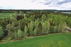 Kojanlahdentie 427, Tuusniemi (Juojärvi), Kuva 29, esikatselu