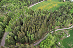Kojanlahdentie 427, Tuusniemi (Juojärvi), Kuva 28, esikatselu