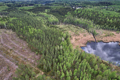 Kojanlahdentie 427, Tuusniemi (Juojärvi), Kuva 33, esikatselu