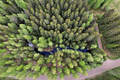 Kojanlahdentie 427, Tuusniemi (Juojärvi), Kuva 34, esikatselu
