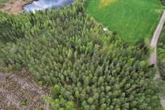 Kojanlahdentie 427, Tuusniemi (Juojärvi), Kuva 36, esikatselu