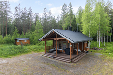 Kultarannantie 100, Lapinlahti (Sutela), Kuva 7, esikatselu