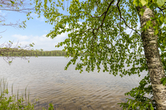 Kultarannantie 100, Lapinlahti (Sutela), Kuva 9, esikatselu