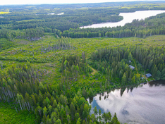 Näretie , Kuopio (Litmaniemi), Kuva 5, esikatselu