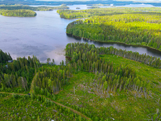Näretie , Kuopio (Litmaniemi), Kuva 4, esikatselu