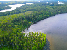 Näretie , Kuopio (Litmaniemi), Kuva 3, esikatselu