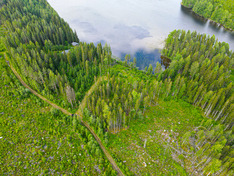 Näretie , Kuopio (Litmaniemi), Kuva 2, esikatselu