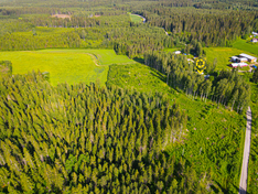 Pentinlahdentie 39, Tuusniemi (Tuusniemi), Kuva 2, esikatselu