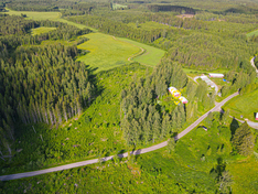 Pentinlahdentie 39, Tuusniemi (Tuusniemi), Kuva 14, esikatselu