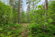 Pähkinämäentie 90, Tuusula (Pähkinämäki), Kuva 3, esikatselu