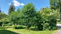 Heinolan Vanhatie 55, Lahti (Tonttila), Kuva 32, esikatselu