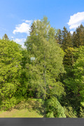 Poikkikatu 3, Lahti (Paavola), Kuva 15, esikatselu