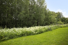 Sipurantie 6, Lahti (Ahtiala), Kuva 12, esikatselu