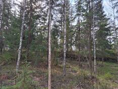Pornaistentie 74, Porvoo (Hinthaara), Kuva 5, esikatselu