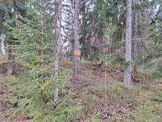 Pornaistentie 74, Porvoo (Hinthaara), Kuva 3, esikatselu