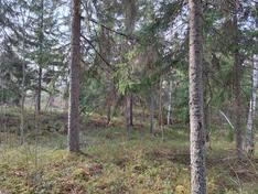Pornaistentie 74, Porvoo (Hinthaara), Kuva 4, esikatselu