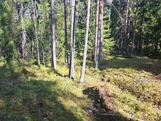 Gumbontie 24, Sipoo (Västerskog), Kuva 3, esikatselu