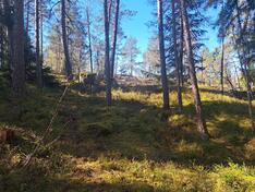 Gumbontie 24, Sipoo (Västerskog), Kuva 1, esikatselu
