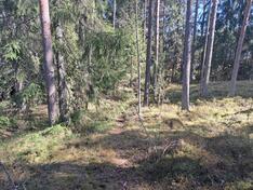 Gumbontie 24, Sipoo (Västerskog), Kuva 2, esikatselu