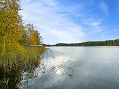 Harikorventie 14 B, Kontiolahti (Romppala), Kuva 15, esikatselu
