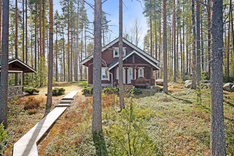 Hattusaari 7b , Lieksa (Koli), Kuva 12, esikatselu