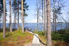 Hattusaari 7b , Lieksa (Koli), Kuva 11, esikatselu