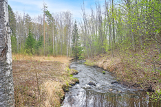 Solisevantie 3, Kontiolahti (Jakokoski), Kuva 24, esikatselu