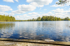 Kivijärventie 71, Tammela (Liesjärvi), Kuva 19, esikatselu