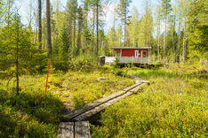 Kivijärventie 71, Tammela (Liesjärvi), Kuva 22, esikatselu