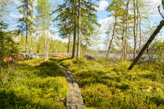 Kivijärventie 71, Tammela (Liesjärvi), Kuva 17, esikatselu