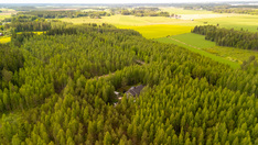 Kaukolantie 99, Tammela (Riihivalkama), Kuva 26, esikatselu