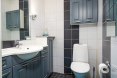 Kaukolantie 99, Tammela (Riihivalkama), Kuva 16, esikatselu